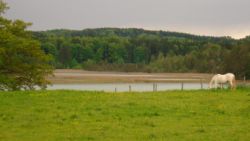2013-05-19_Iffeldorf_Aiderbichl (86)b.JPG